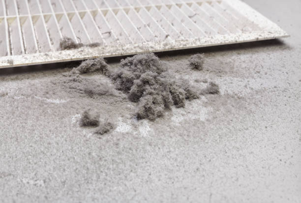 Best HVAC System Cleaning  in Grandwood Park, IL