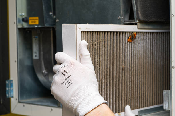 Best Affordable Air Duct Cleaning  in Grandwood Park, IL