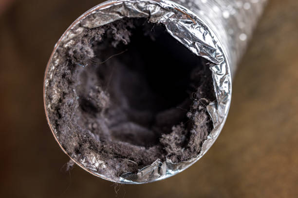 Best Air Duct Cleaning Near Me  in Grandwood Park, IL