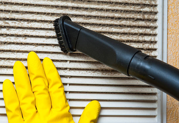 Best Affordable Duct Cleaning Services  in Grandwood Park, IL
